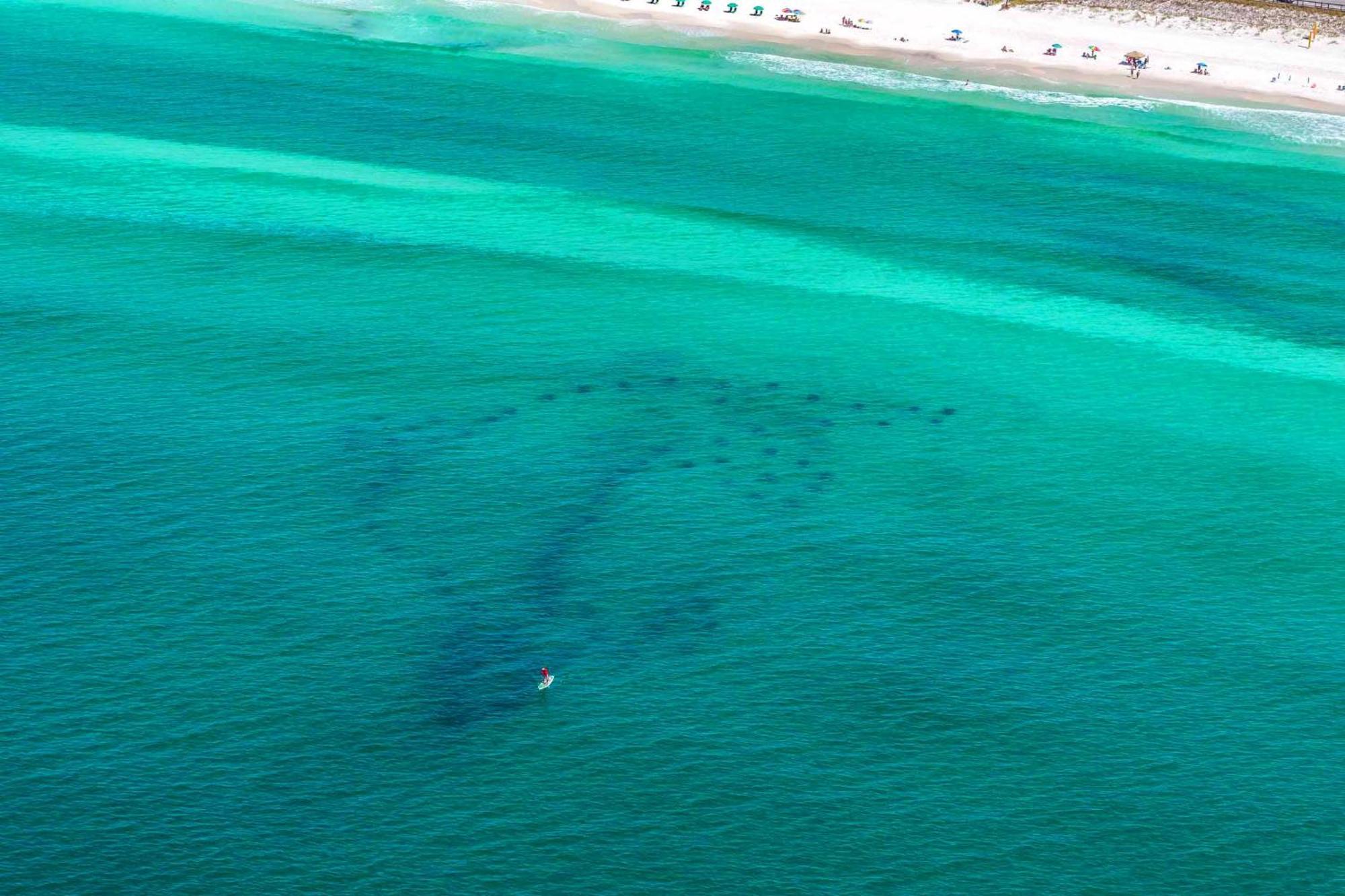 Stay Anchored Destin Exterior photo